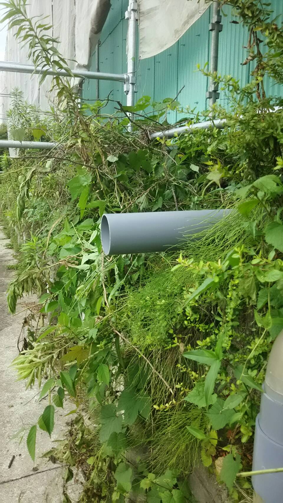 中村ワークス現在進行中施工写真