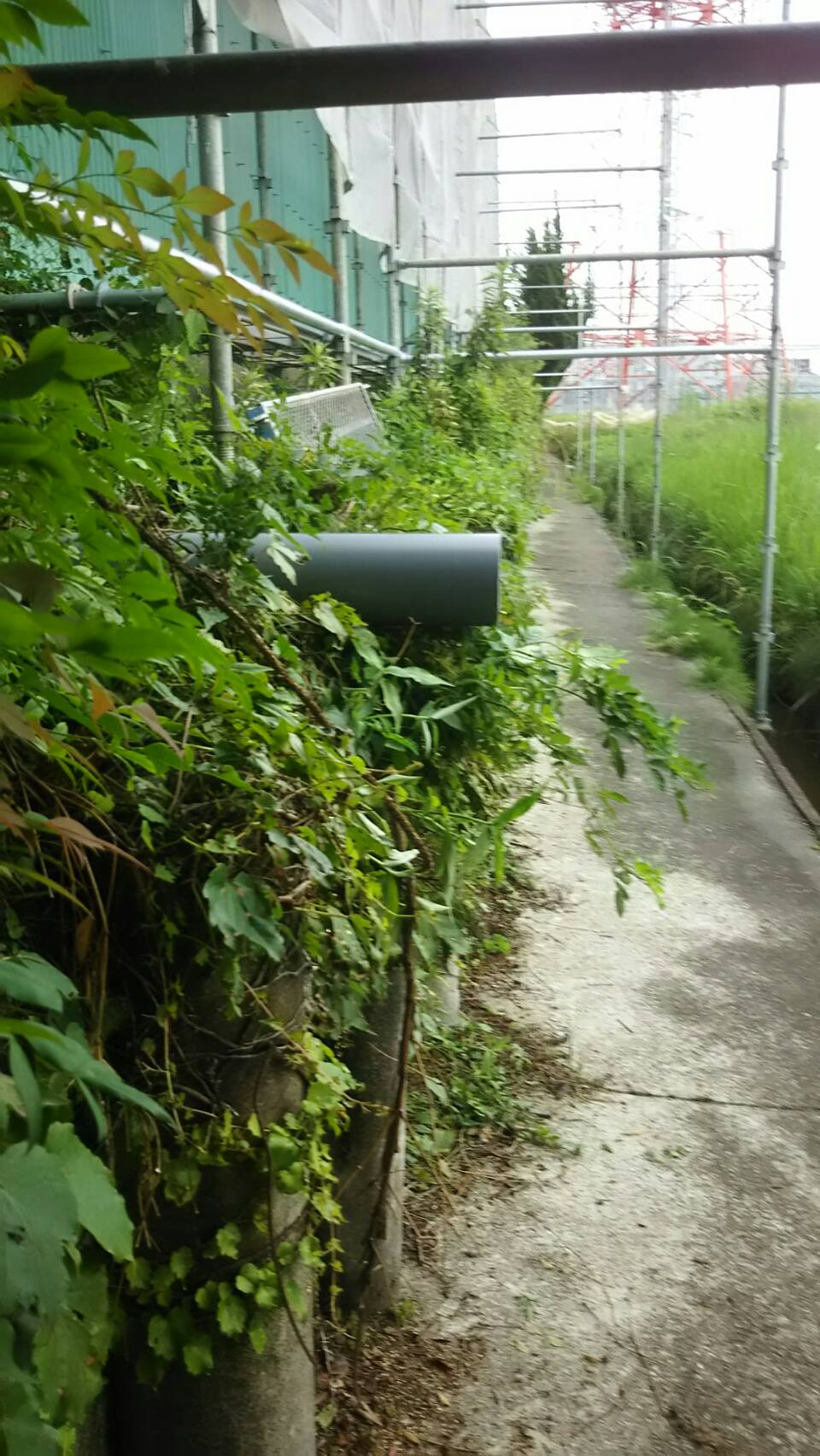 中村ワークス現在進行中施工写真